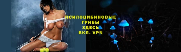 СК Киренск