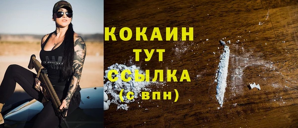 дживик Кинешма