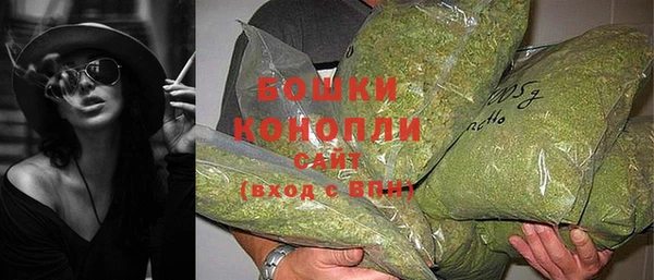 дживик Кинешма