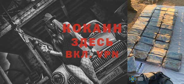 дживик Кинешма