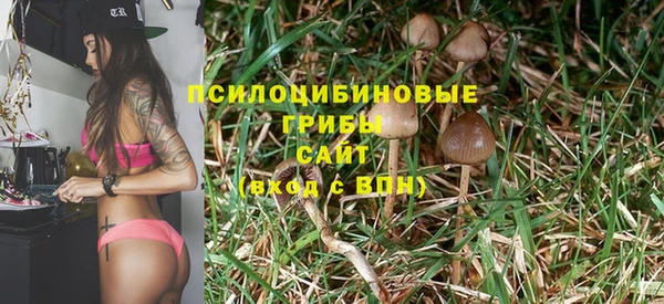СК Киренск