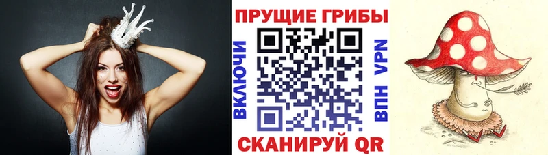 Галлюциногенные грибы Psilocybe  Купить  Рыбинск 
